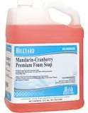 Hillyard Mandarin-Cranberry Premium Foam Soap